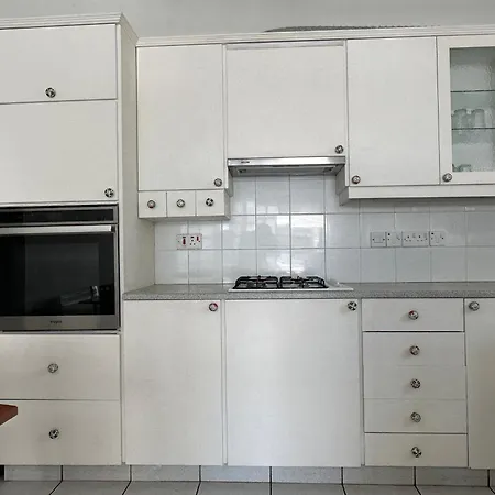 Apartman White House With Garden And Bbq In Strovolos *
