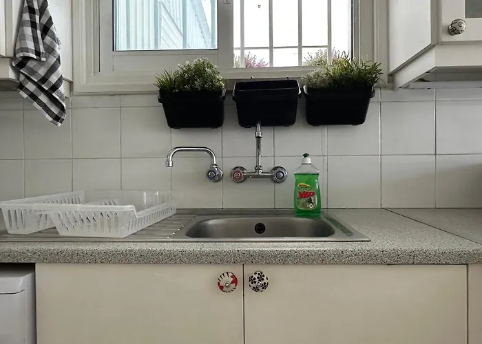 公寓 White House With Garden And Bbq In Strovolos